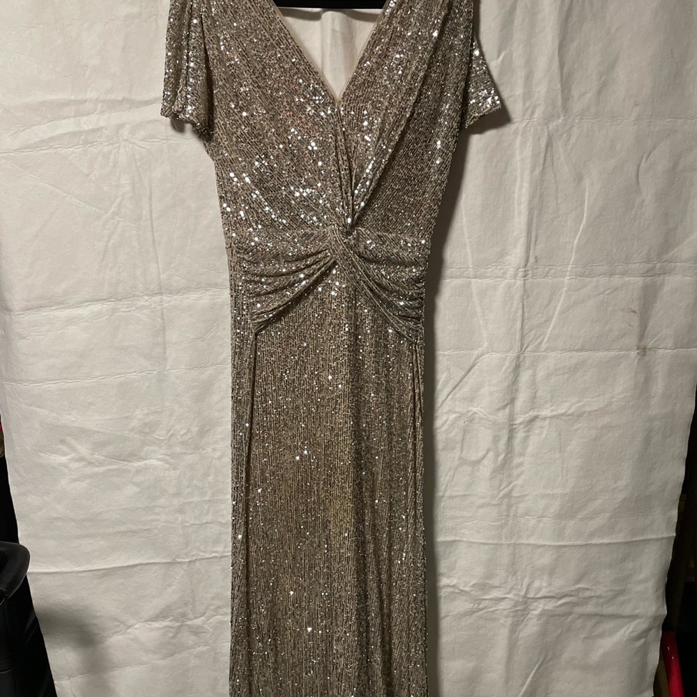 Sliver dress